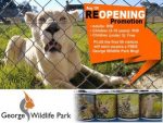 George Wildlife Park Reopening Promotion