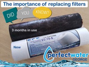 The Importance of Replacing Water Purifier Filters