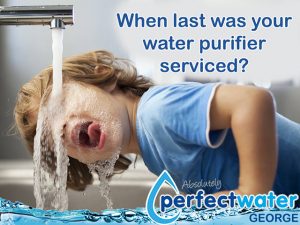 Water Purifier Services in the Garden Route
