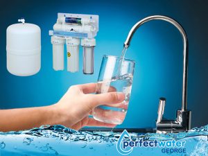 Affordable Water Purification Systems from Perfect Water George
