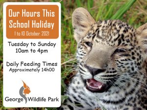 Visit the George Wildlife Park this October Holiday