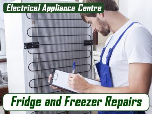 Fridge and Freezer Repairs in George