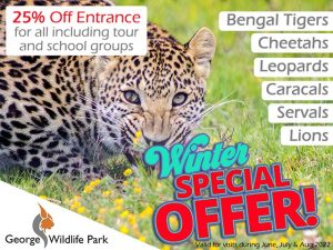 George Wildlife Park Winter 2022 Special