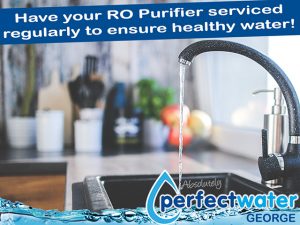 RO Water Purifier Services in George