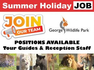 Holiday Job at George Wildlife Park