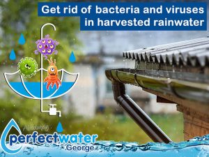 Water Filtration and Purifying Systems in the Garden Route