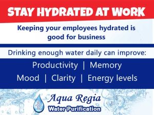 Stay hydrated with Aqua Regia Mossel Bay