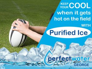 Purified Ice Supplier in George