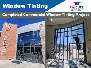 Commercial Window Tinting George