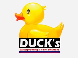 Duck’s Waterproofing and Paint Solutions