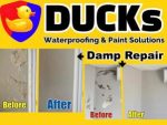 Damp Repair Services in George