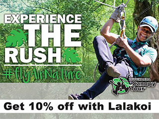 Get 10% Off On Your Tsitsikamma Canopy Tour