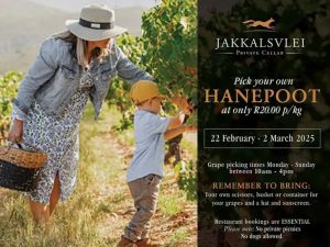 2025 Jakkalsvlei Pick your own Hanepoot
