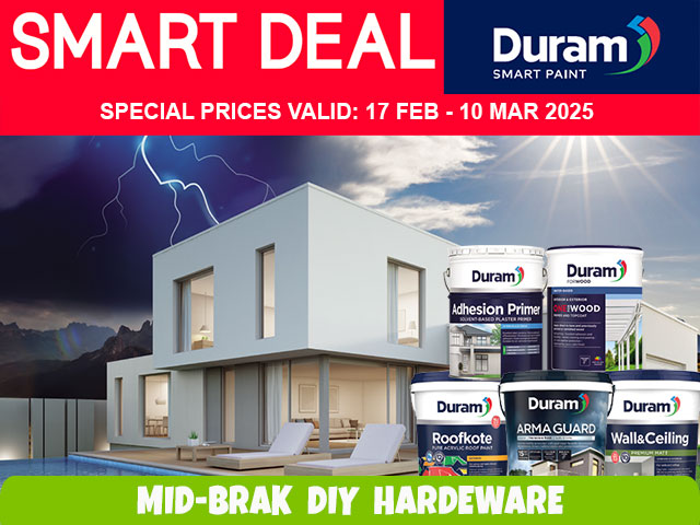 Duram Paint Special Reebok