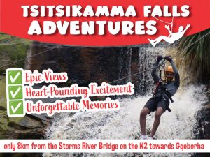 Experience the Adventure Water Fall Zipline in Tsitsikamma