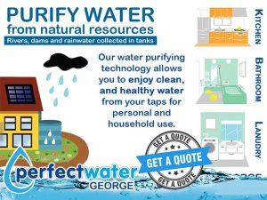 Purifying Water from Natural resources in The Garden Route