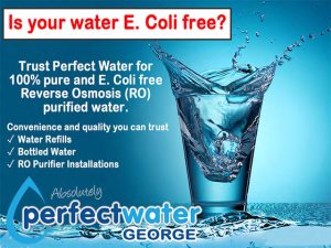 E. Coli Free Reverse Osmosis Purified Water in George