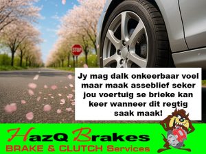Professionele Briekedienste in George